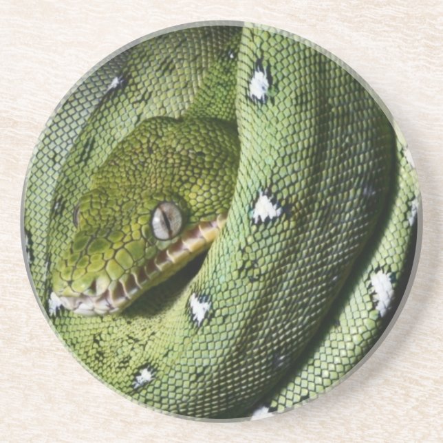 Green tree snake emerald boa in Bolivia Coaster (Front)