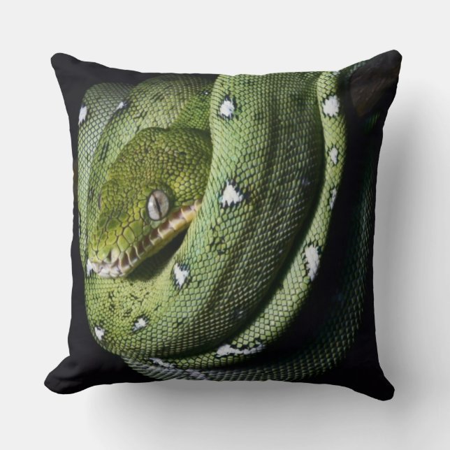 Green tree snake emerald boa in Bolivia Cushion (Front)