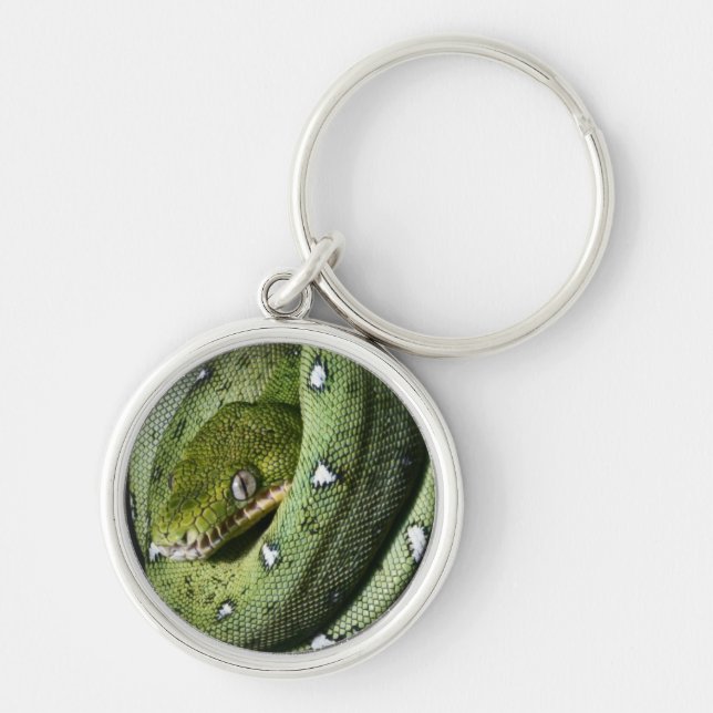 Green tree snake emerald boa in Bolivia Key Ring (Front)