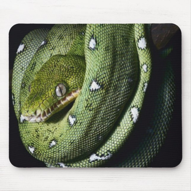 Green tree snake emerald boa in Bolivia Mouse Pad (Front)