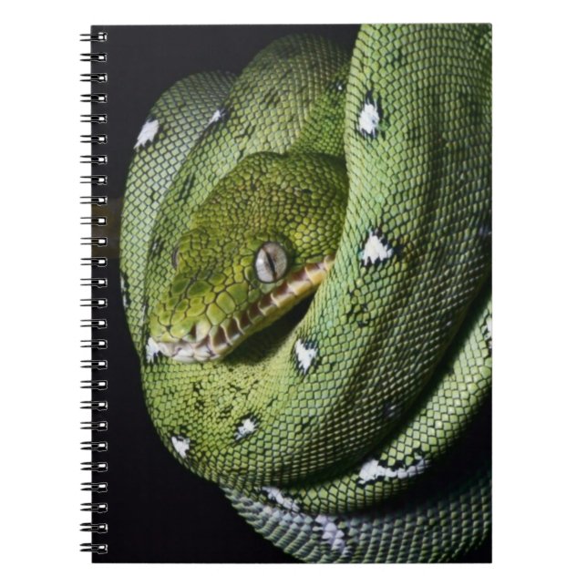 Green tree snake emerald boa in Bolivia Notebook (Front)