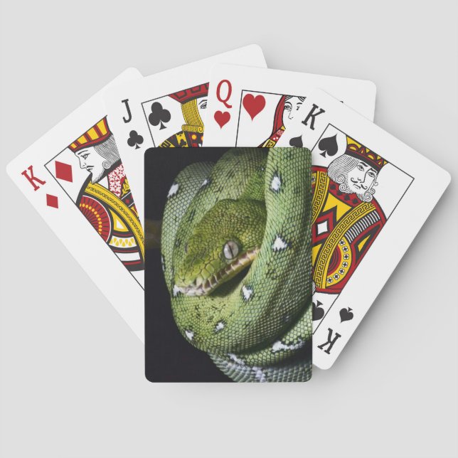 Green tree snake emerald boa in Bolivia Playing Cards (Back)