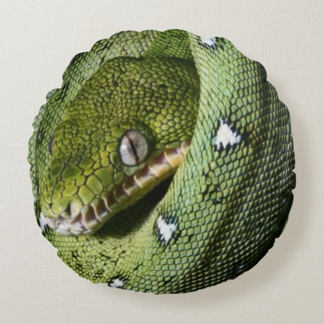 Green tree snake emerald boa in Bolivia Round Cushion (Front)