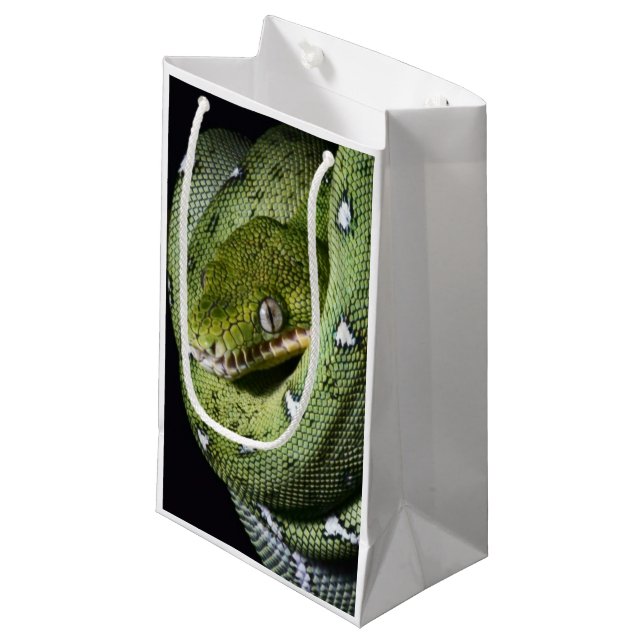 Green tree snake emerald boa in Bolivia Small Gift Bag (Front Angled)