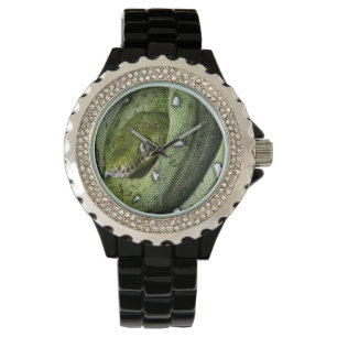 Green tree snake emerald boa in Bolivia Watch