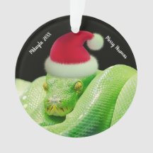 Green Tree Snake in Santa Hat Merry Hissmas