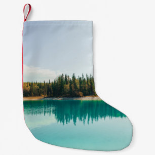 GREEN TREES BESIDE BODY OF WATER DURING DAYTIME SMALL CHRISTMAS STOCKING