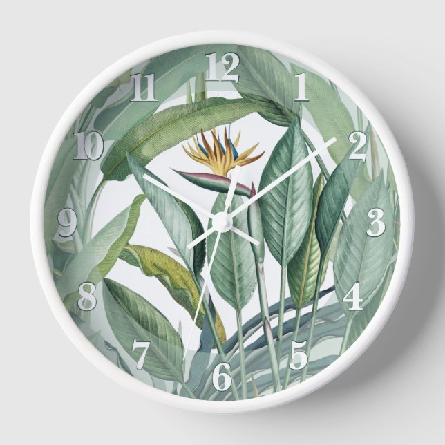 Green Tropical Jungle Banana Tree Strelitzia Clock (Front)