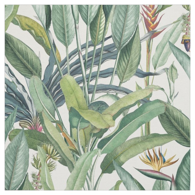 Green Tropical Jungle Banana Tree Strelitzia Fabric (Swatch)