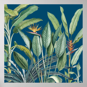 Green Tropical Jungle Banana Tree Strelitzia Poster