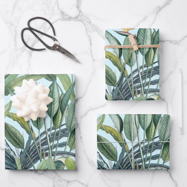 Green Tropical Jungle Banana Tree Strelitzia Wrapping Paper Sheet (Front)