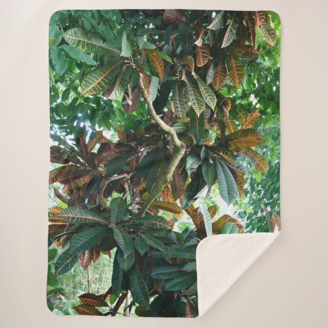 Green Tropical Jungle Sherpa Blanket (Front)