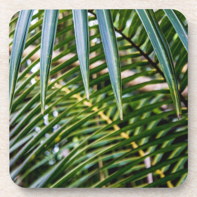 Green Tropical Leaves Coaster (Front)