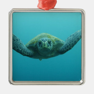 Green Turtle (Chelonia mydas agassisi), Central Metal Tree Decoration