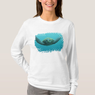 Green Turtle (Chelonia mydas agassisi), Central T-Shirt
