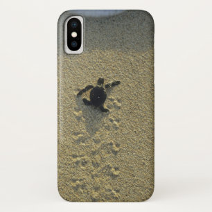 Green Turtle, (Chelonia mydas), hatchling iPhone X Case