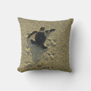 Green Turtle, (Chelonia mydas), hatchling Cushion
