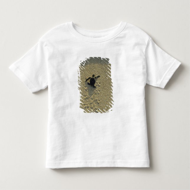 Green Turtle, (Chelonia mydas), hatchling Toddler T-Shirt (Front)