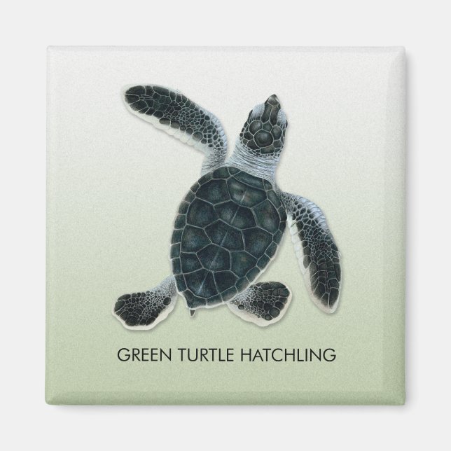 Green Turtle Hatchling Magnet (Front)