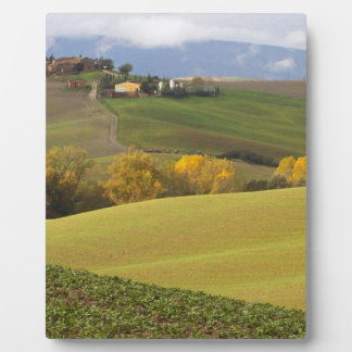 Green Tuscan Countryside Plaque