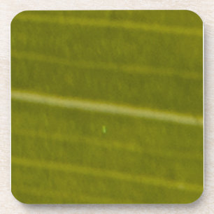 Green Variegated Hawaiian Leaf Coaster