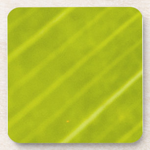 Green Variegated Hawaiin Leaf 3 Coaster