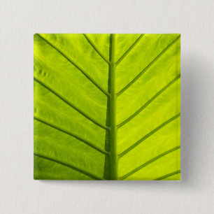 Green veined leaves of tropical foliage in 15 cm square badge
