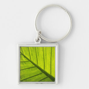 Green veined leaves of tropical foliage in 2 key ring