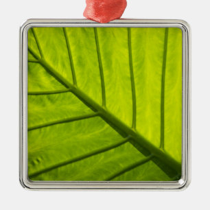 Green veined leaves of tropical foliage in 2 metal tree decoration