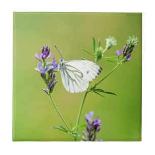 Green Veined White Butterfly Ceramic Tile