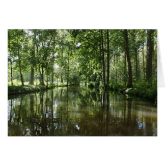 Green Venice Coulon France