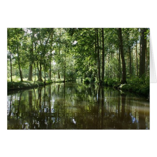 Green Venice Coulon France Card