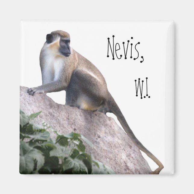 Green Vervet Monkey Magnet (Front)