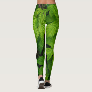 Green vines nature beauty leggings