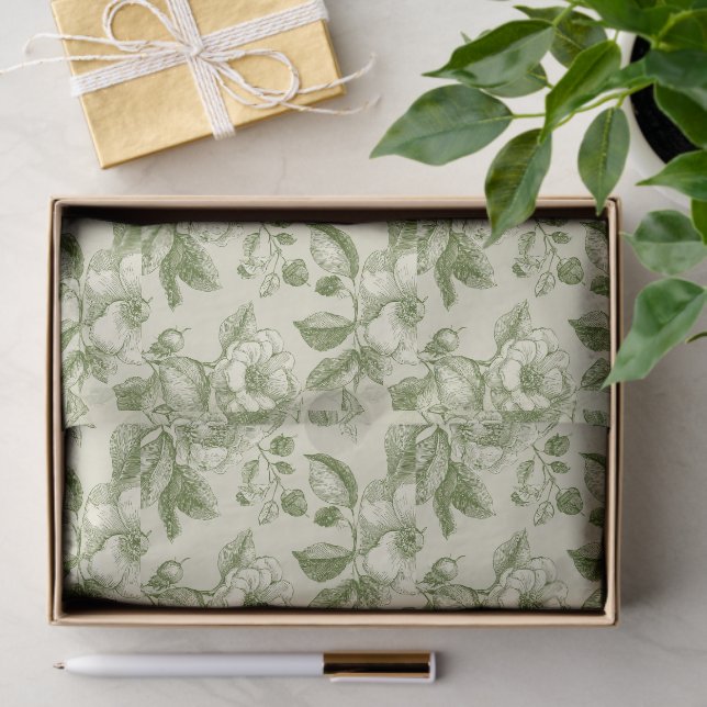 Green Vintage Botanical Toile Pattern Tissue Paper (Gift)