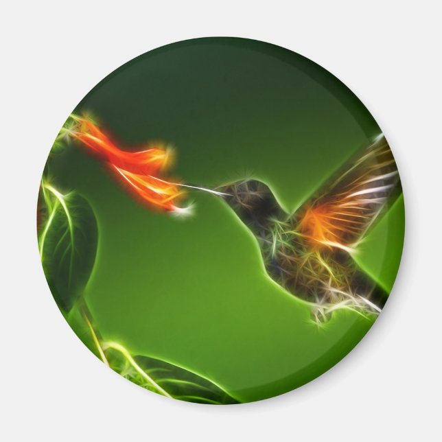 Green Violetear Hummingbird Magnet (Front)