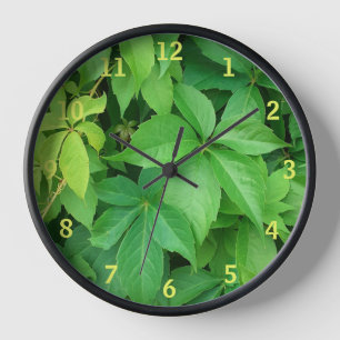 Green Virginia Creeper Foliage Photo Clock