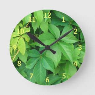 Green Virginia Creeper Foliage Photo Round Clock