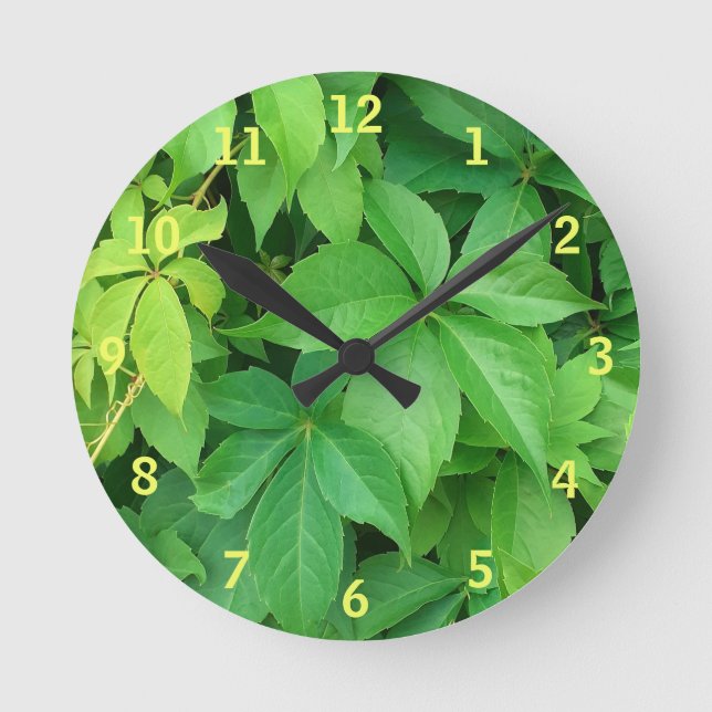 Green Virginia Creeper Foliage Photo Round Clock (Front)