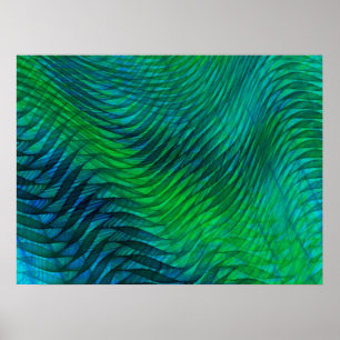Green Voile Poster