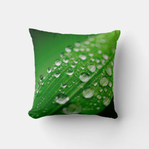 Green water leaf dew nature grass cushion