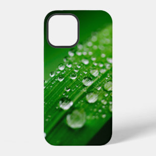 Green water leaf dew nature grass iPhone 12 case