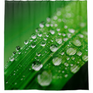 Green water leaf dew nature grass shower curtain