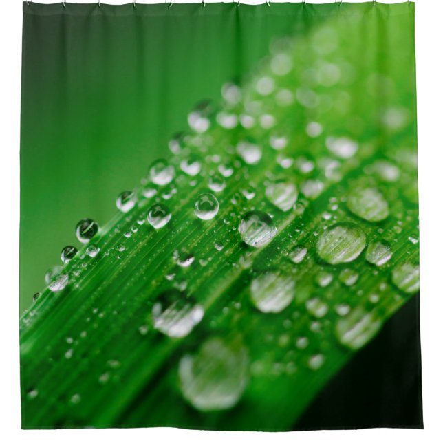 Green water leaf dew nature grass shower curtain (Front)