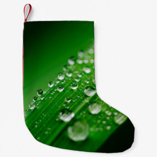 Green water leaf dew nature grass small christmas stocking