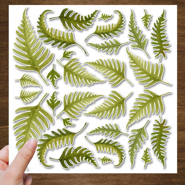 Green Watercolor Fern Leaves Contour Cut Sticker (Creator Uploaded)
