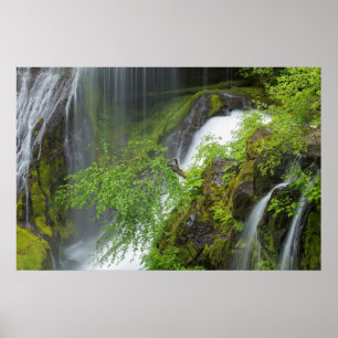 Green Waterfall Scenic Poster