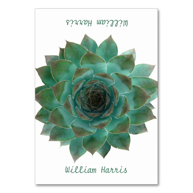 Green Wedding Succulents Tented Place Cards (Front)