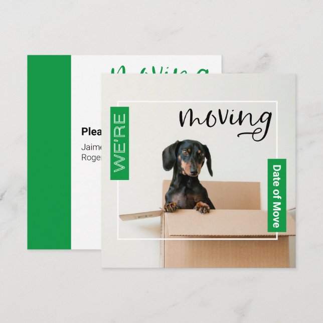 Green We're Moving Dachshund Dog in Box Card (Front/Back)