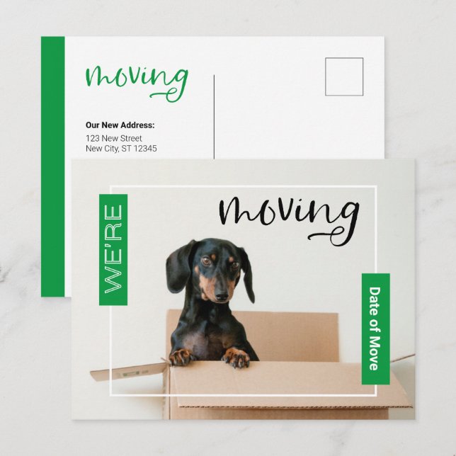 Green We're Moving Dachshund Dog in Box Postcard (Front/Back)